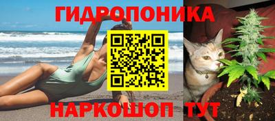 скорость Старая Купавна