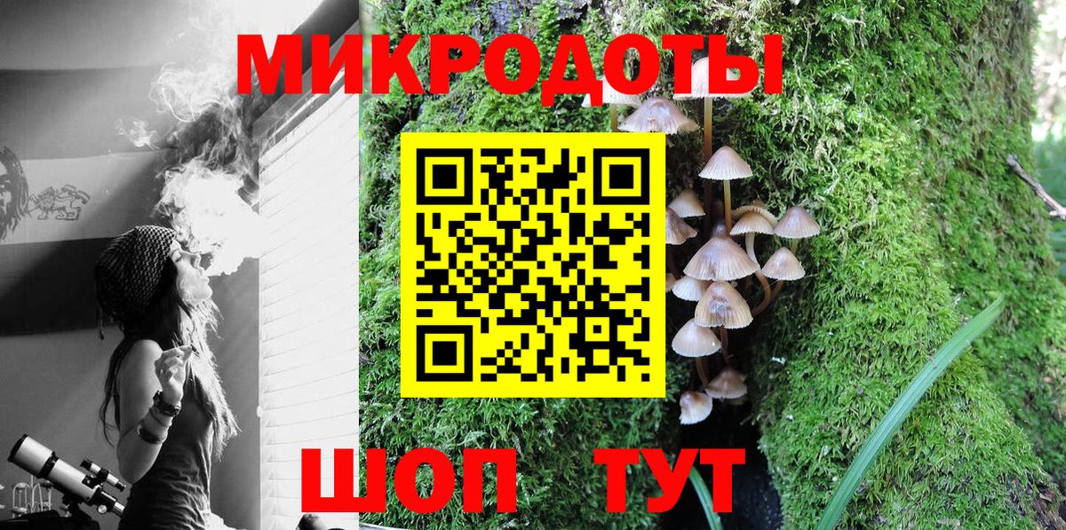 Псилоцибиновые грибы Cubensis  Псилоцибиновые грибы MAGIC MUSHROOMS  Новый Уренгой  Вход с VPN 